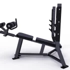 Hammer Force Pro Olympic Decline Bench with integrated barbell supports