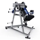 Plate-loading system and movement arms on the Hammer Force Pro Plate-Loaded Lateral Raise